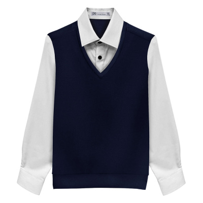 Джемпер школьный Deloras 71527G-24 синий-белый